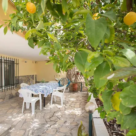 My Sunflower شقة Néa Fókaia