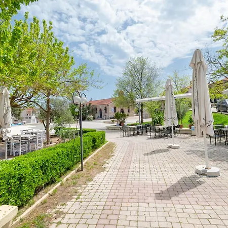 My Sunflower Néa Fókaia